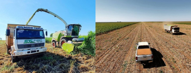 Seguro rural e a revolução da gestão de risco no campo